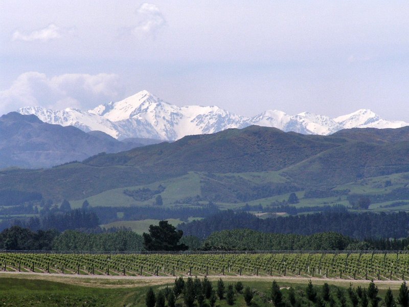 15 (35) Mountains near Lewis Pass.jpg